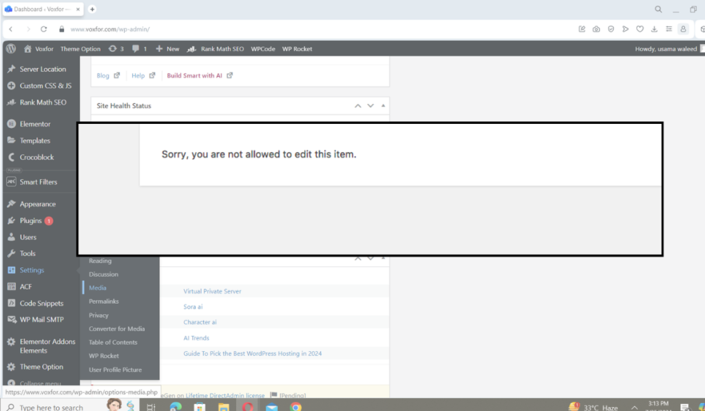 lack admin rights to manage themes or plugins