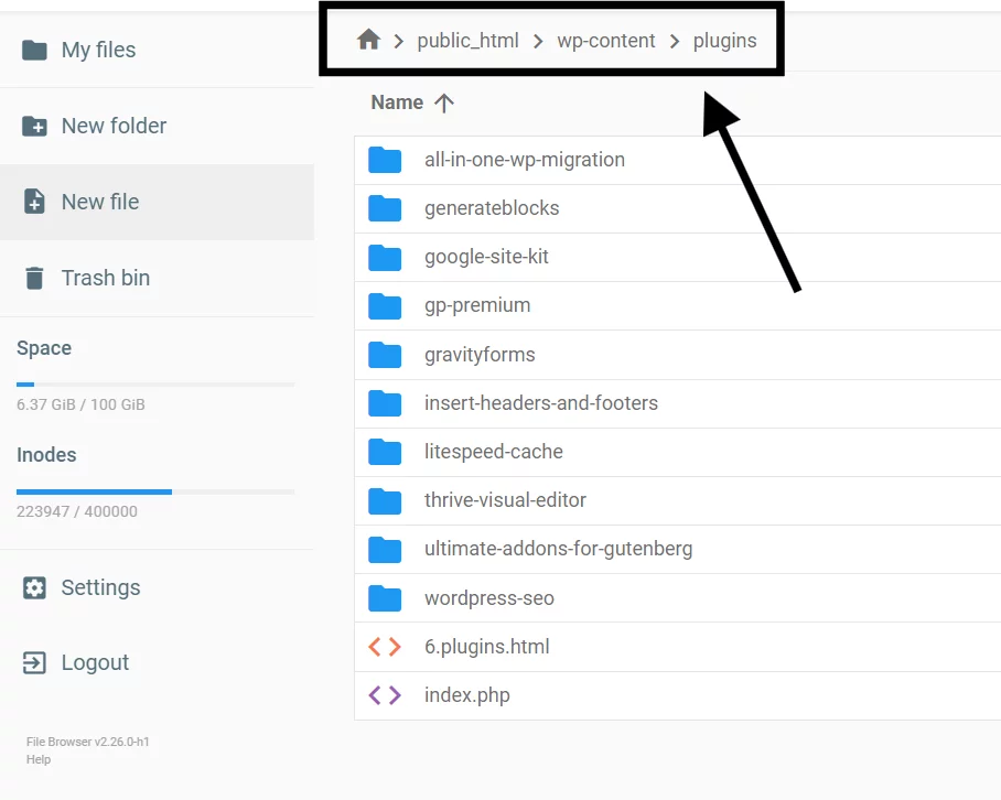 Go to the wp-content folder, this folder contains all installed plugins.