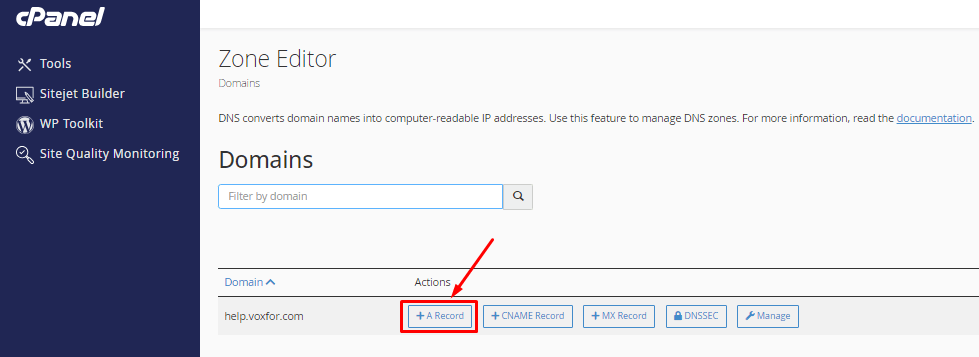 DNS A Record cPanel
