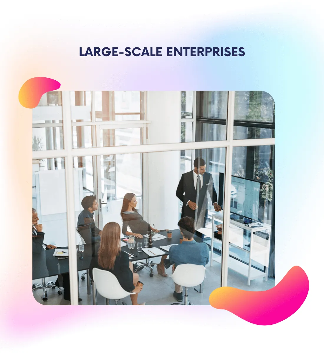 Large Scale Enterprises