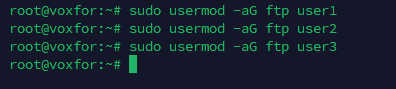 Commands to add multiple users to the ftp group