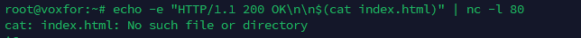 Netcat command attempting to serve a sample HTML file over port 80 with an error message
