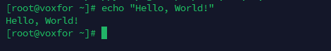 Output showing the use of the echo command to print 'Hello, World!' to the terminal.