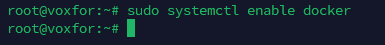 Enable Docker to start on boot with sudo systemctl enable docker command output