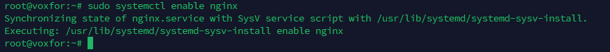 Terminal Command to Enable Nginx Service on Boot