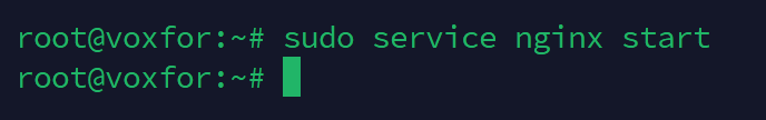 Terminal Command to Start Nginx Web Server
