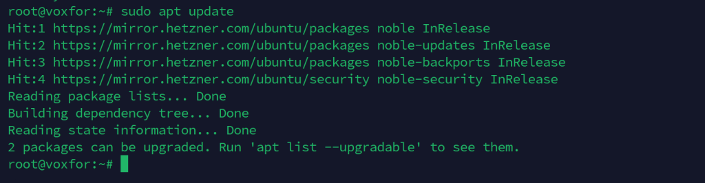 Terminal output showing the process of updating the package list