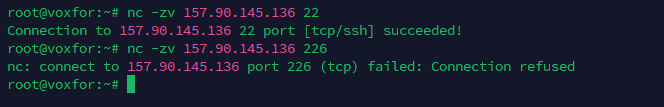 Netcat command testing open ports on a remote host with connection success and failure examples