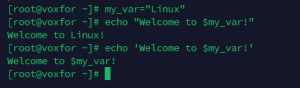 How to Use the Echo Command in Linux: Detailed Guide