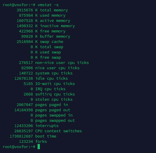 Command vmstat -s output showing detailed memory usage and system statistics