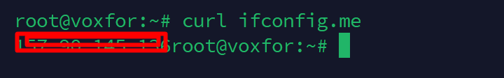 Using the curl ifconfig.me command to find the public IP address