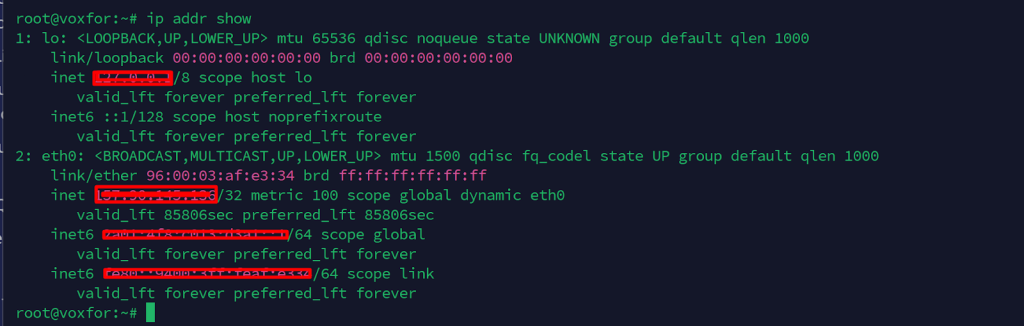 Using the ip addr show command to find the system's IP address