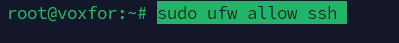 Allow SSH traffic through the firewall with command: sudo ufw allow ssh