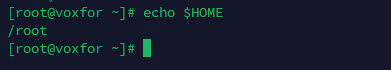 Command-line output showing the result of 'echo $HOME' command in Linux terminal.