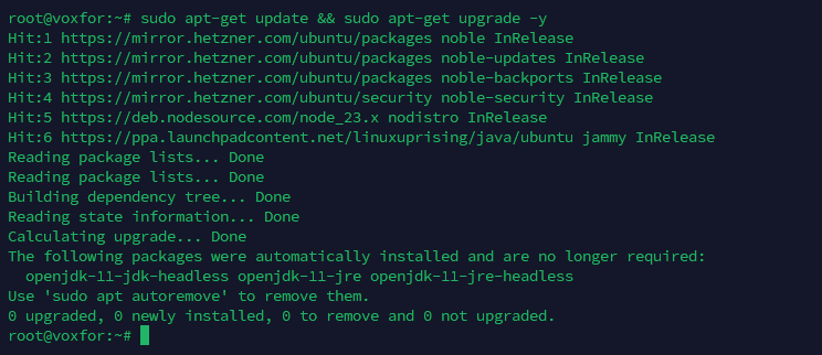 Update VPS system with sudo apt-get update && sudo apt-get upgrade -y command output