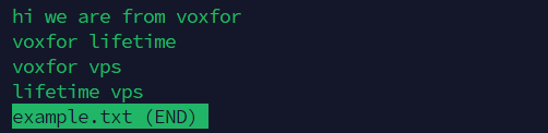 Displaying content of example.txt file using the less command in Linux