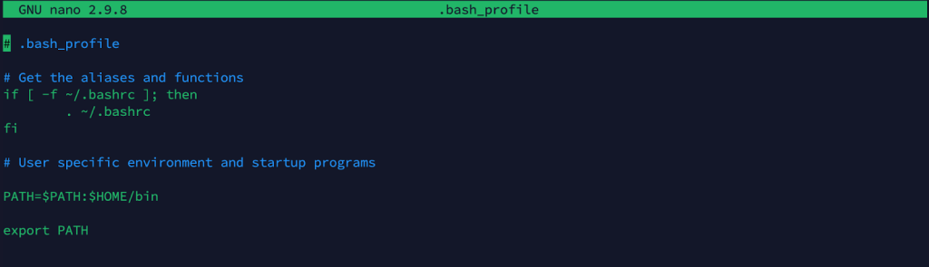 Editing the .bash_profile file using the Nano text editor to configure environment settings