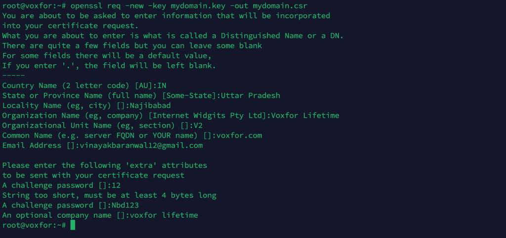Generating RSA key and creating a CSR using OpenSSL on the command line