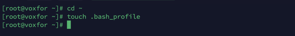 Terminal output demonstrating the use of the touch command to create a .bash_profile file