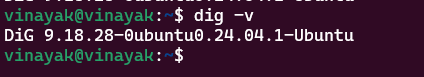 Terminal output showing the command to check Dig version in WSL