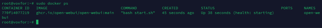 docker ps command output listing a running Docker container with status