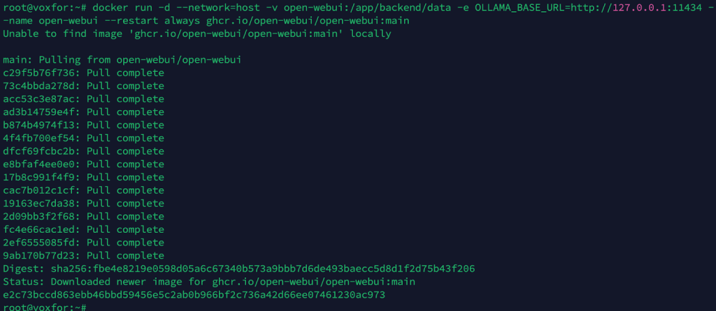 docker run command to start a container and terminal output of image pulling